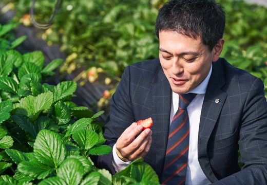 営業職／営業部(野菜部・果実部)