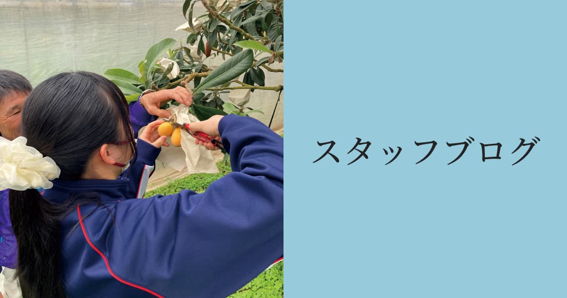 スタッフブログ