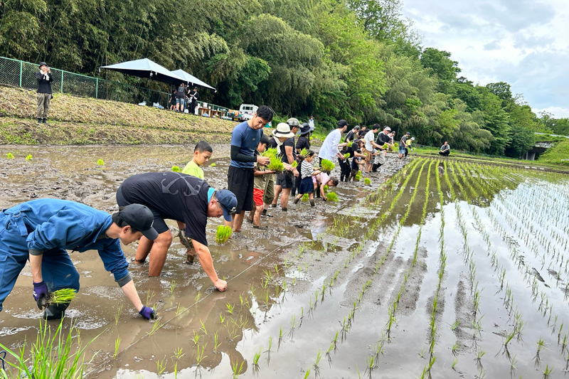 群馬県にて田植え体験を行いました〜体験を通じて学ぶ、“食”への理解〜